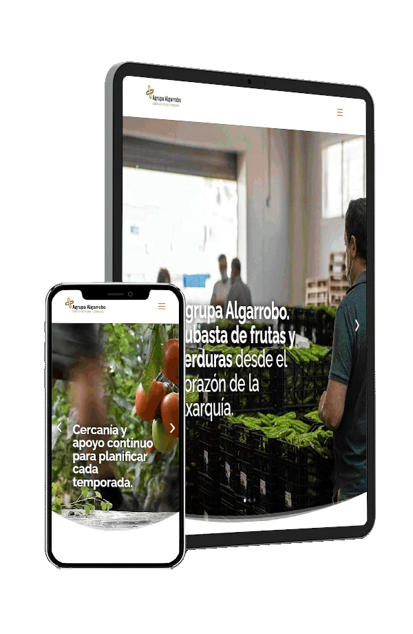 Diseño de página web responsive en tablet y móvil realizado por Olinet